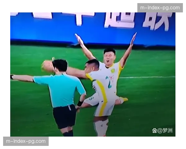 隐性偏见问题 亚洲内线球员判罚尺度收紧现象